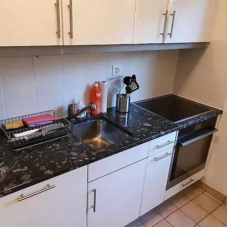 Apartament Via San Carlo In Muralto-locarno *