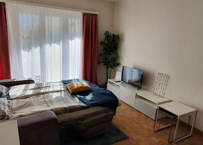 Via San Carlo In Muralto-locarno *