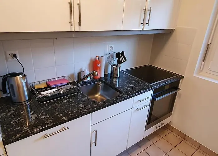 Apartament Via San Carlo In Muralto-locarno *